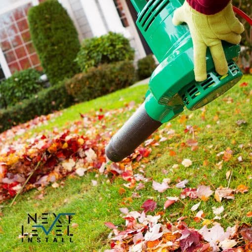 Fall Yard Cleanup: Why It Matters & What to Include image